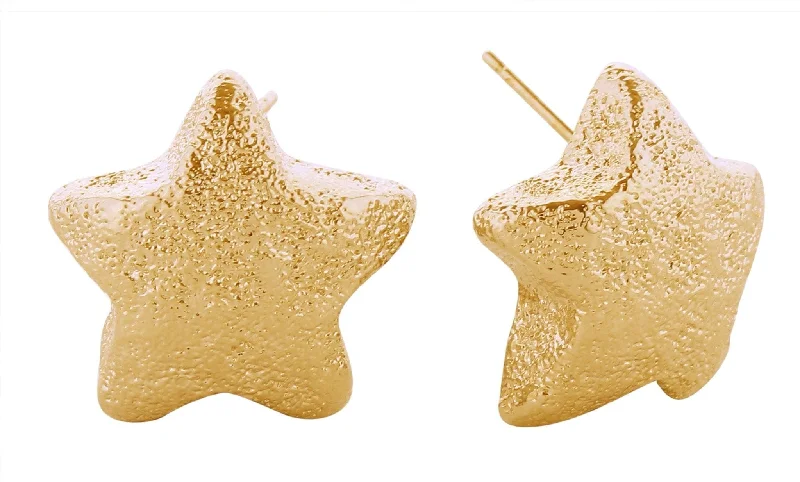 ladies handbags with decorative studs-SJE310981 14K Glitter Texture Star Post Earrings